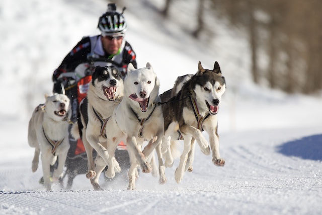 Spluegen 2014-01-120306