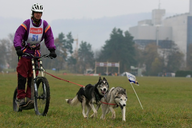 Thun2012-11-100224